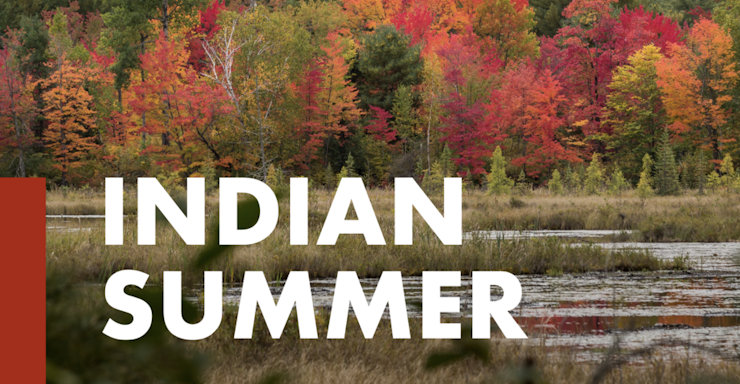 Indian Summer Van Laere hout